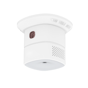 Smart Carbon Monoxide Sensor